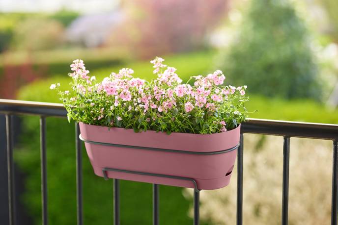 vibia campana trough 50cm dusty pink